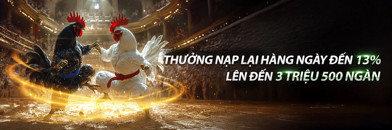 Hoàn trả thể thao và casino xoso66 APK
